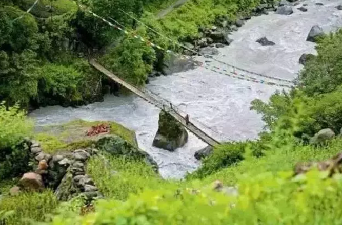 W020190315005547525186.png