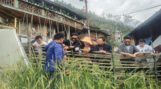 微信图片_20220524125034.png